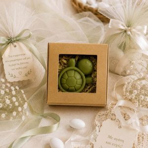 Little Turtle